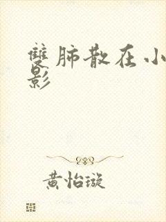 双肺散在小结节影