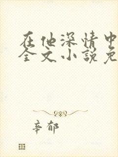 在他深情中陨落全文小说免费阅读全文