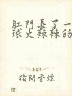 肛门长了一个肉球火辣辣的疼