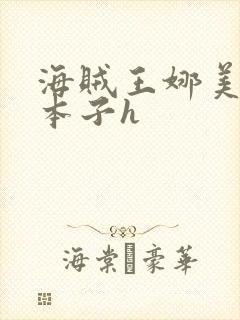 海贼王娜美同人本子h封面