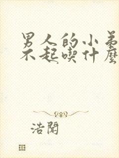 男人的小弟弟硬不起吃什么药