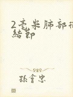 2毫米肺部微小结节