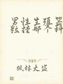 男性生殖器长肉粒挂哪个科