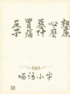 反胃恶心想吐肚子痛什么原因