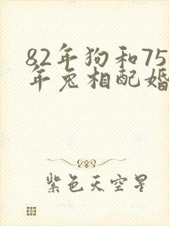 82年狗和75年兔相配婚姻如何