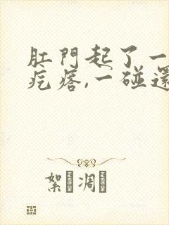 肛门起了一个硬疙瘩,一碰还疼