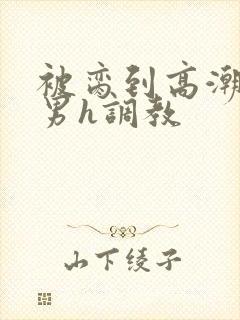 被脔到高潮的直男h调教