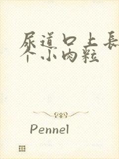 尿道口上长了一个小肉粒