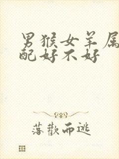 男猴女羊属相婚配好不好