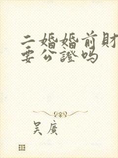 二婚婚前财产需要公证吗