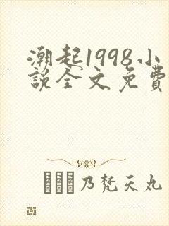 潮起1998小说全文免费阅读最新章节