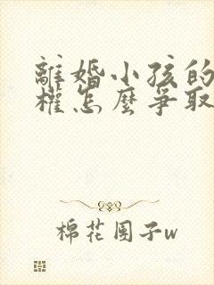 离婚小孩的抚养权怎么争取