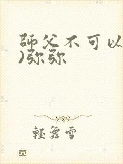 师父不可以(限)弥弥封面