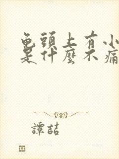 龟头上有小颗粒是什么不痛不痒封面