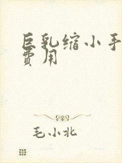 巨乳缩小手术的费用