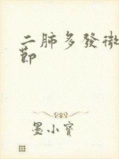 二肺多发微小结节