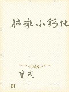 肺微小钙化结节