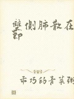 双侧肺散在小结节