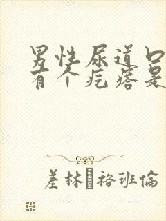 男性尿道口里面有个疙瘩是怎么回事