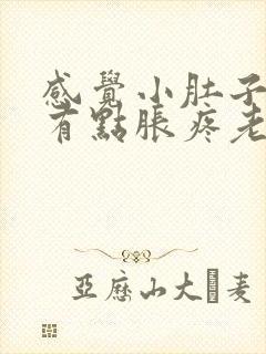 感觉小肚子下坠有点胀疼老感觉有尿封面