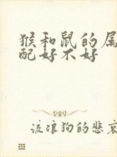 猴和鼠的属相婚配好不好封面