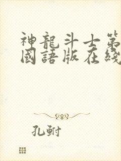 神龙斗士第一部国语版在线观看