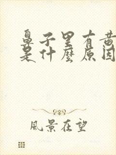 鼻子里有黄鼻涕是什么原因封面