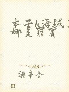 本子h海贼王h娜美罗宾