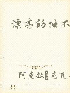 漂亮的他不说话封面