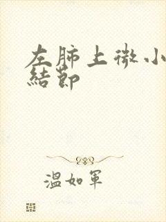 左肺上微小钙化结节