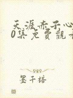 天涯赤子心第30集免费观看