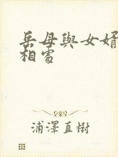 岳母与女婿怎么相处