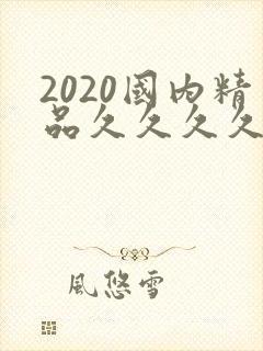 2020国内精品久久久久精免费