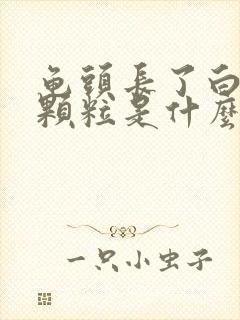 龟头长了白色的颗粒是什么封面