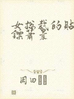 女总裁的贴身保镖萧晨