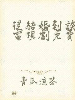 从结婚到谈恋爱电视剧免费观看