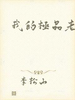 我的极品老婆版