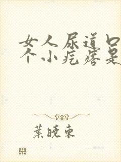 女人尿道口长一个小疙瘩是怎么回事