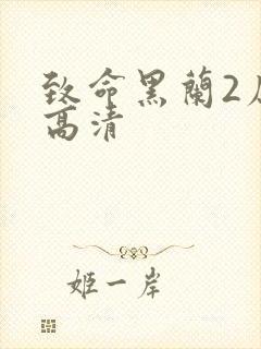 致命黑兰2原版高清