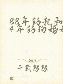 88年的龙和94年的狗婚姻相配吗封面