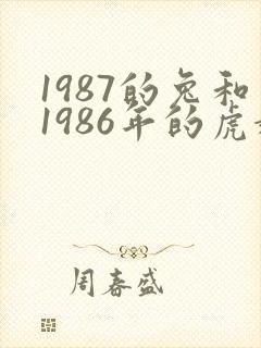 1987的兔和1986年的虎婚姻状况