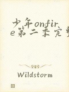 少年onfire第二季完整版观看封面