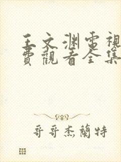 王文渊电视剧免费观看全集