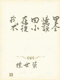 我在回忆里万劫不复小说全文阅读