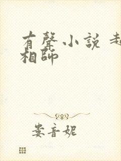 有声小说 超品相师封面