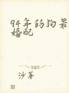 94年的狗最佳婚配