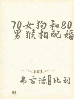 70女狗和80男猴相配婚姻如何封面
