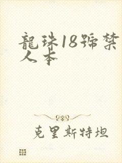 龙珠18号禁同人本