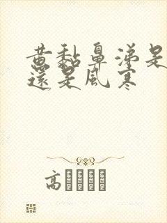 黄黏鼻涕是风热还是风寒