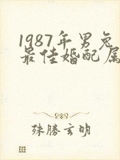 1987年男兔最佳婚配属相